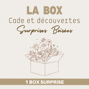 Box – Surprises Boisées
